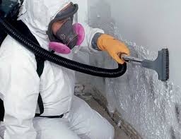 Mold Odor Removal Services in Lionville, PA